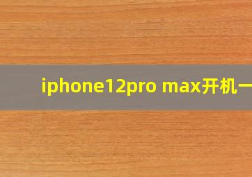 iphone12pro max开机一闪